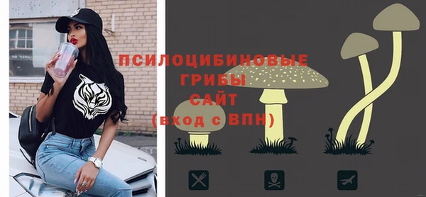 СК Алзамай
