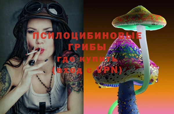 ПСИЛОЦИБИНОВЫЕ ГРИБЫ Каменка