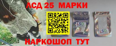 индика Сланцы