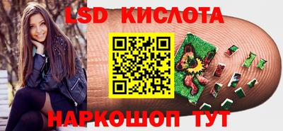 индика Сланцы