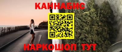 индика Сланцы