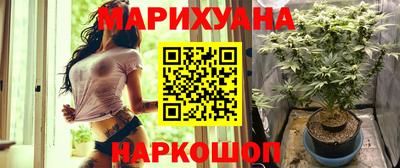 индика Сланцы