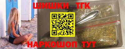 индика Сланцы