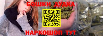 индика Сланцы