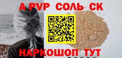 индика Сланцы