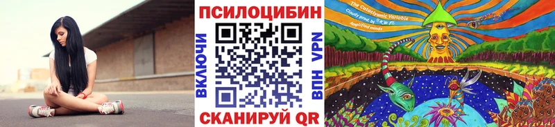 Галлюциногенные грибы прущие грибы  OMG как зайти  Элиста 