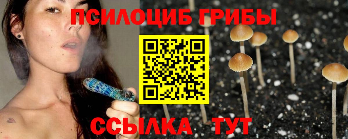 Псилоцибиновые грибы MAGIC MUSHROOMS Элиста
